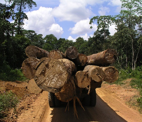 TPTI logging