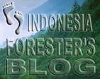 BLOG FORESTER