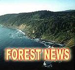 FOREST NEWS