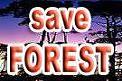SAVE FOREST
